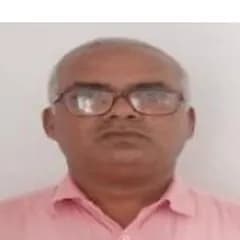 Rajnish Koushik, Vice President