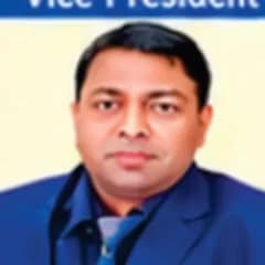 Ravikant Ray, Vice President