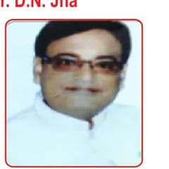 Sanjay Kumar, Vice President